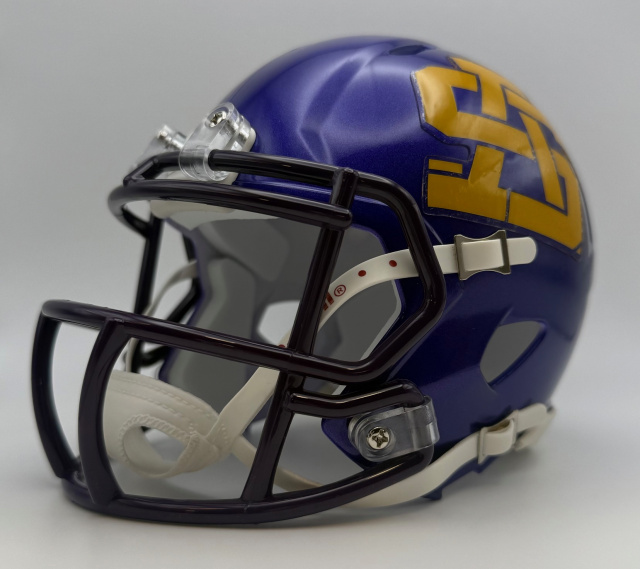Saint Augustine Purple Knights HS 2012 (LA)